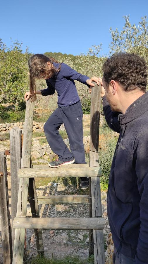 Сasa de vacaciones Ideal Sóller